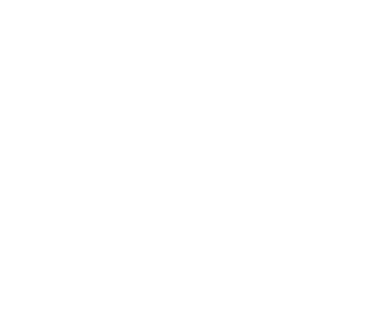 Aestheticenvy Logo